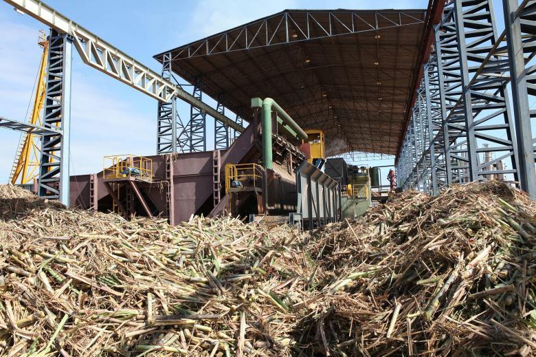 How Ethanol-Blended Fuel is Changing Indian Cars and the Indian Economy