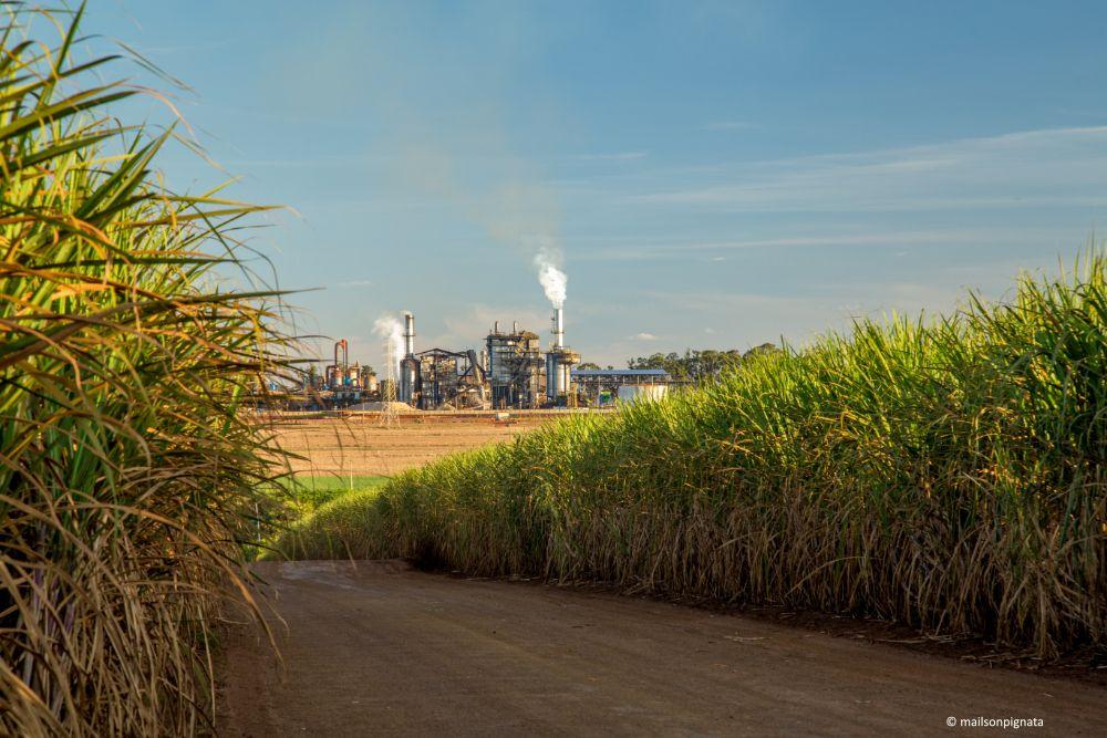 How Ethanol-Blended Fuel is Changing Indian Cars and the Indian Economy