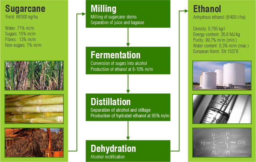 How Ethanol-Blended Fuel is Changing Indian Cars and the Indian Economy