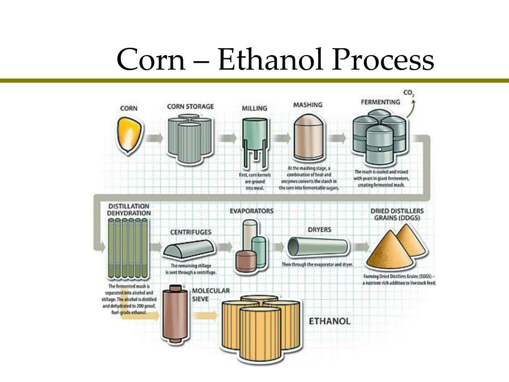 How Ethanol-Blended Fuel is Changing Indian Cars and the Indian Economy