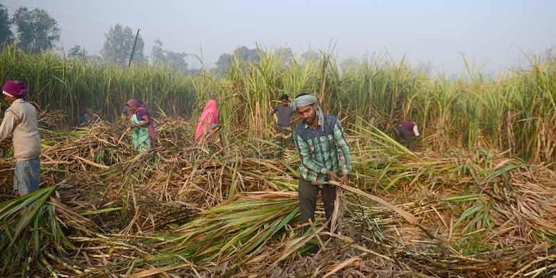 How Ethanol-Blended Fuel is Changing Indian Cars and the Indian Economy